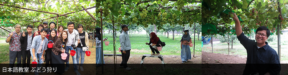 日本語教室 ぶどう狩り